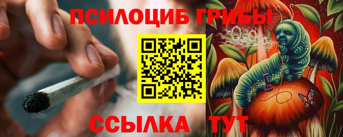 Псилоцибиновые грибы Psilocybine cubensis Ефремов